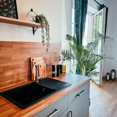 Oasis Appart - Wohnen Im Koenigspark - Elbhang Dresden - Grosse Terrasse - Netflix - Tg Exterior photo