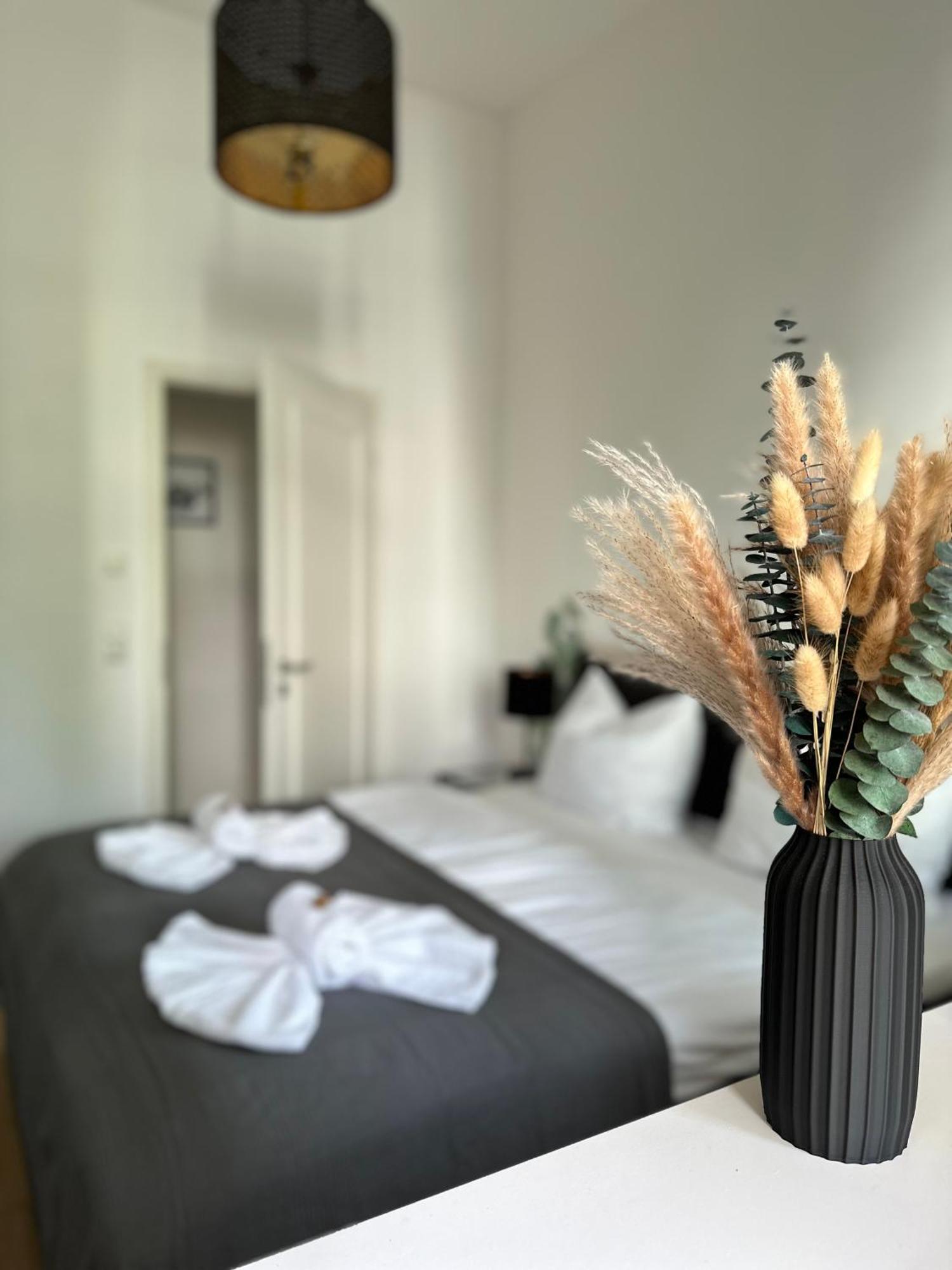 Apartment Oasis - Wohnen Im Koenigspark - Elbhang - Grosse Terrasse - Netflix - Tg *