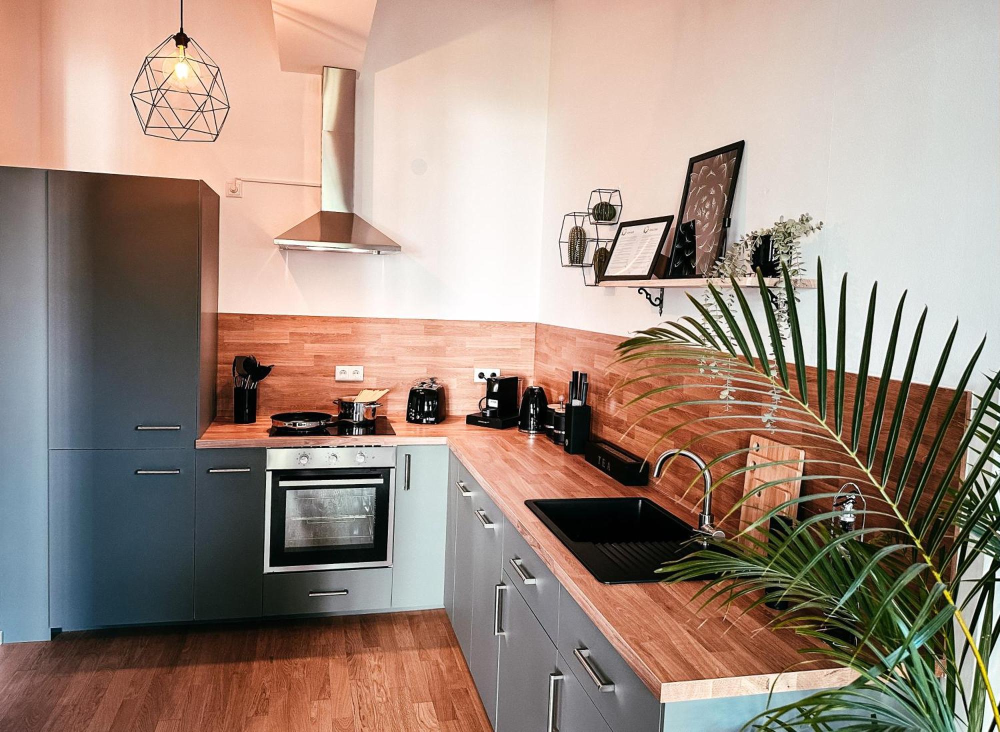 Apartment Oasis - Wohnen Im Koenigspark - Elbhang - Grosse Terrasse - Netflix - Tg *