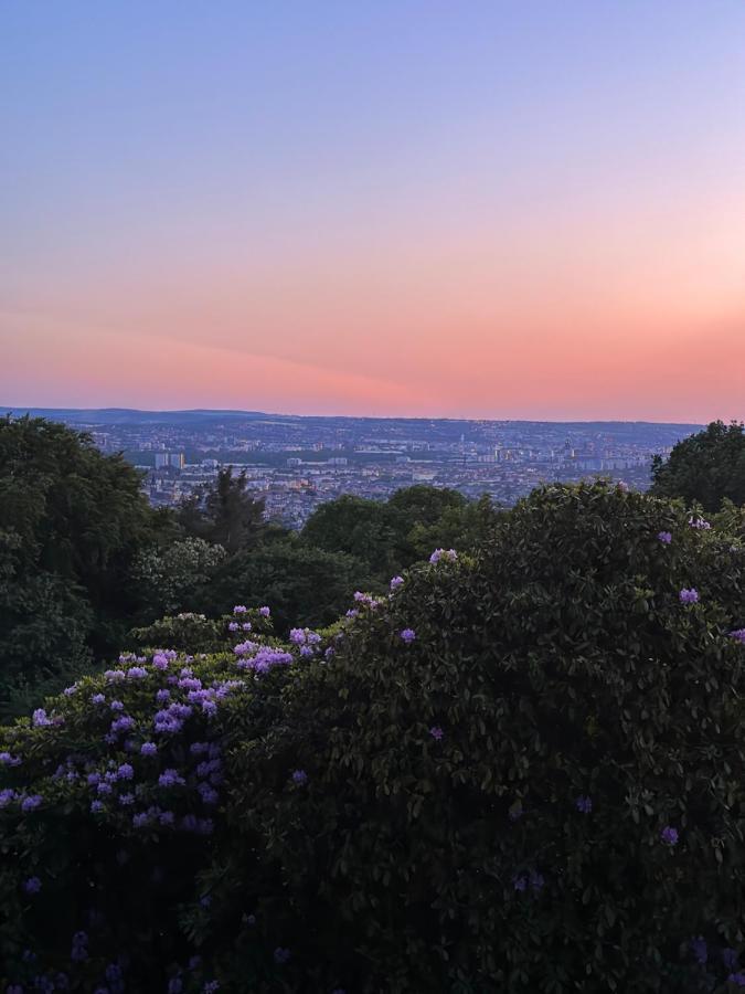 Apartament Oasis - Wohnen Im Koenigspark - Elbhang - Grosse Terrasse - Netflix - Tg *